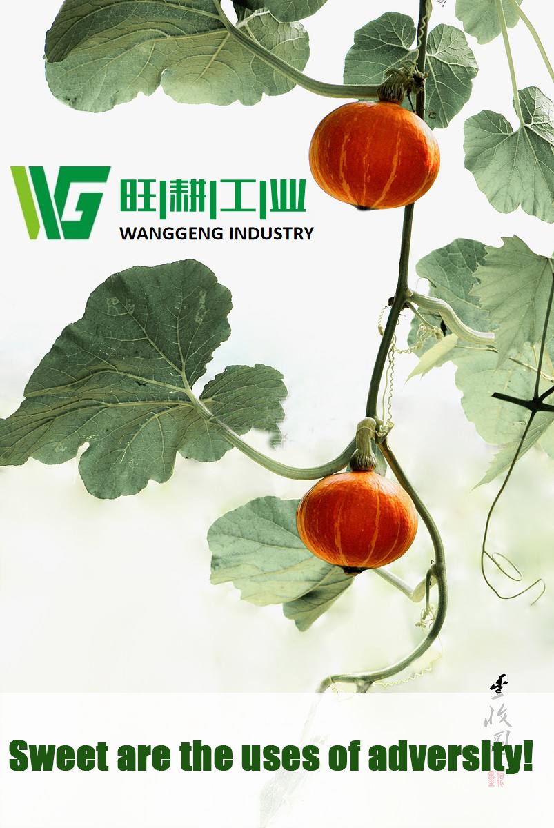 Wanggeng Macro Cultivator